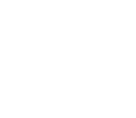 pakbeefcompany.com